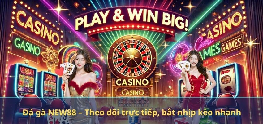 NEW88 Đá gà NEW88 – Theo dõi trực tiếp, bắt nhịp kèo nhanh